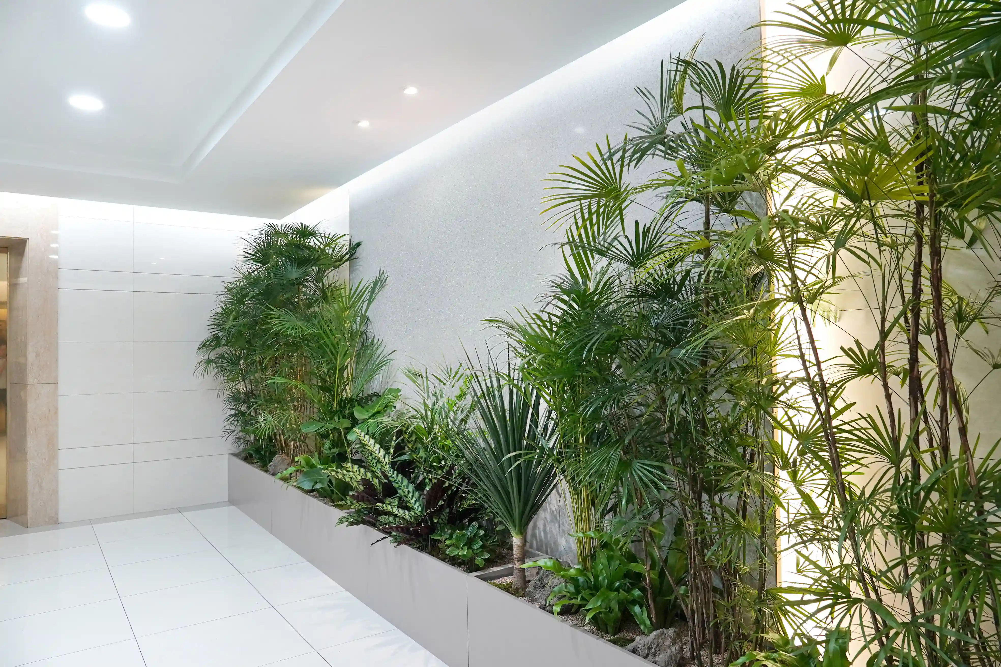 실내정원 형 플랜테리어 디자인을 조성하였다.