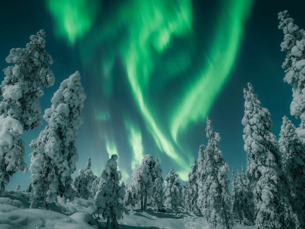 Visit Rovaniemi