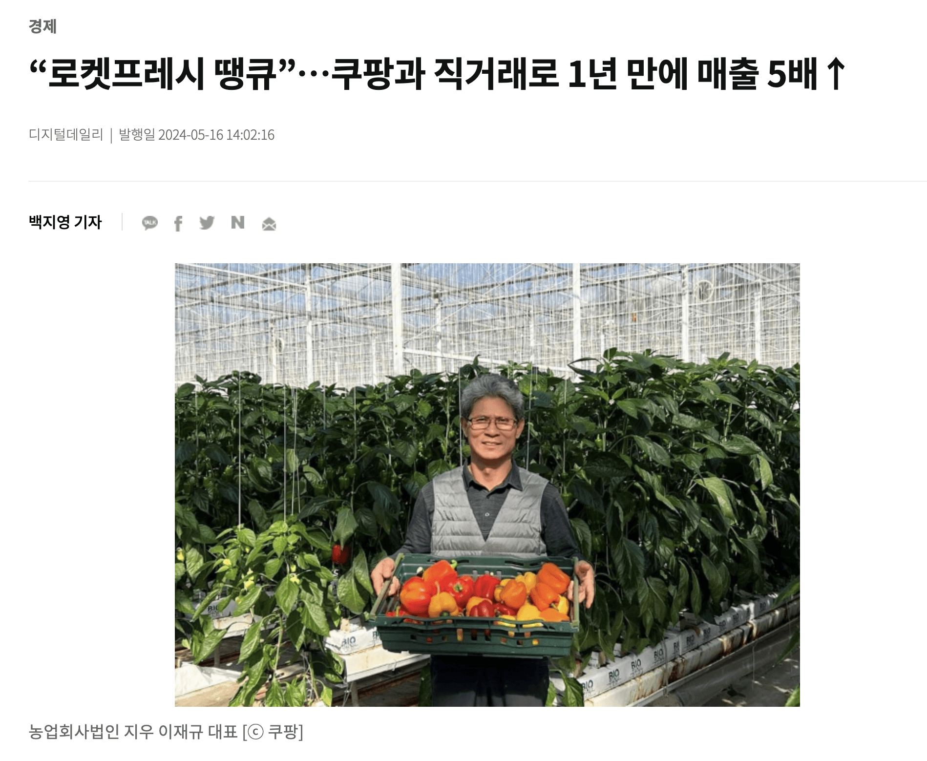 쿠팡 로켓프레시와 직거래로 1년 만에 매출이 5배 오른 농업회사법인 지우 이재규 대표가 비닐하우스에서 수확한 파프리카 바구니를 들고 있는 디지털데일리 기사 사진