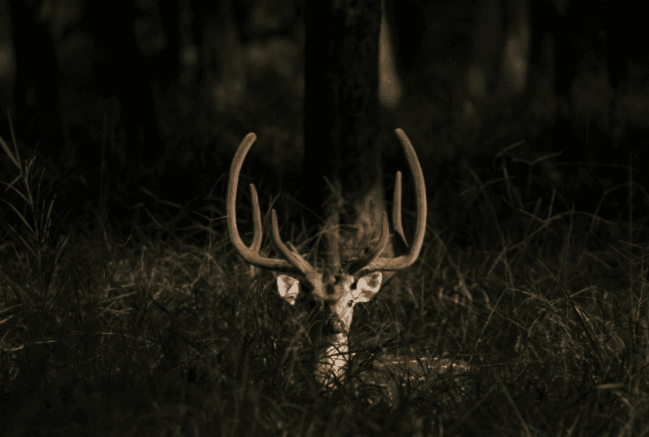 people in a large building with Tate Modern in the background