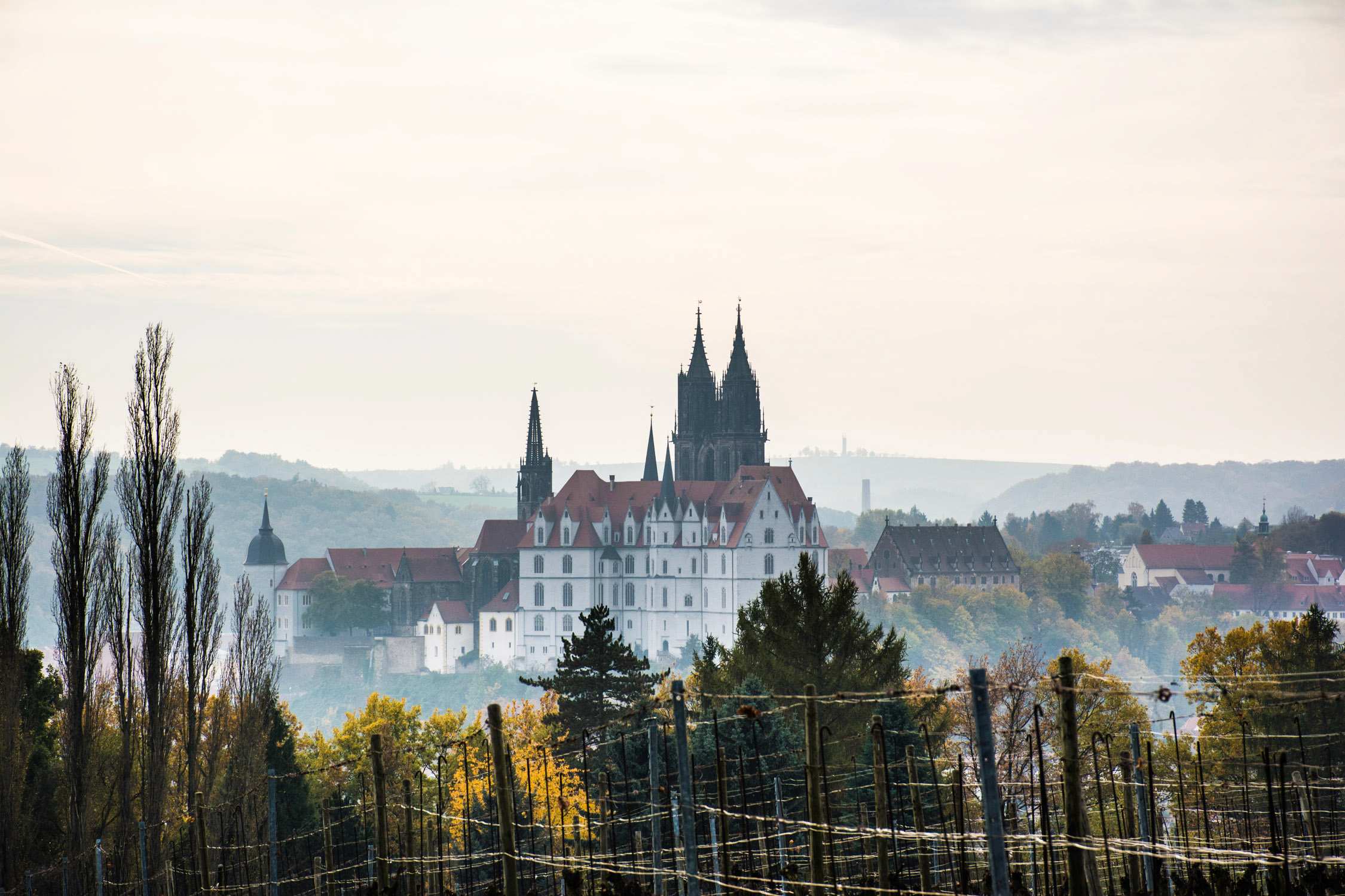A white castle with dark pointed towers sits above a misty valley filled with autumn trees and golden foliage.