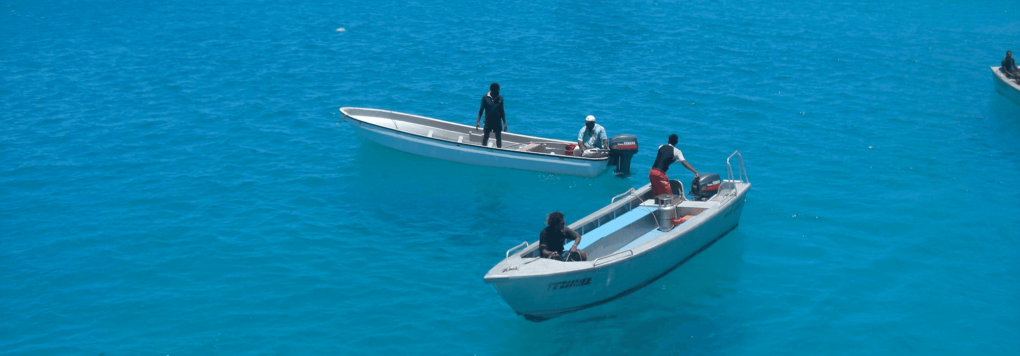 green palm tree near body of water during daytime