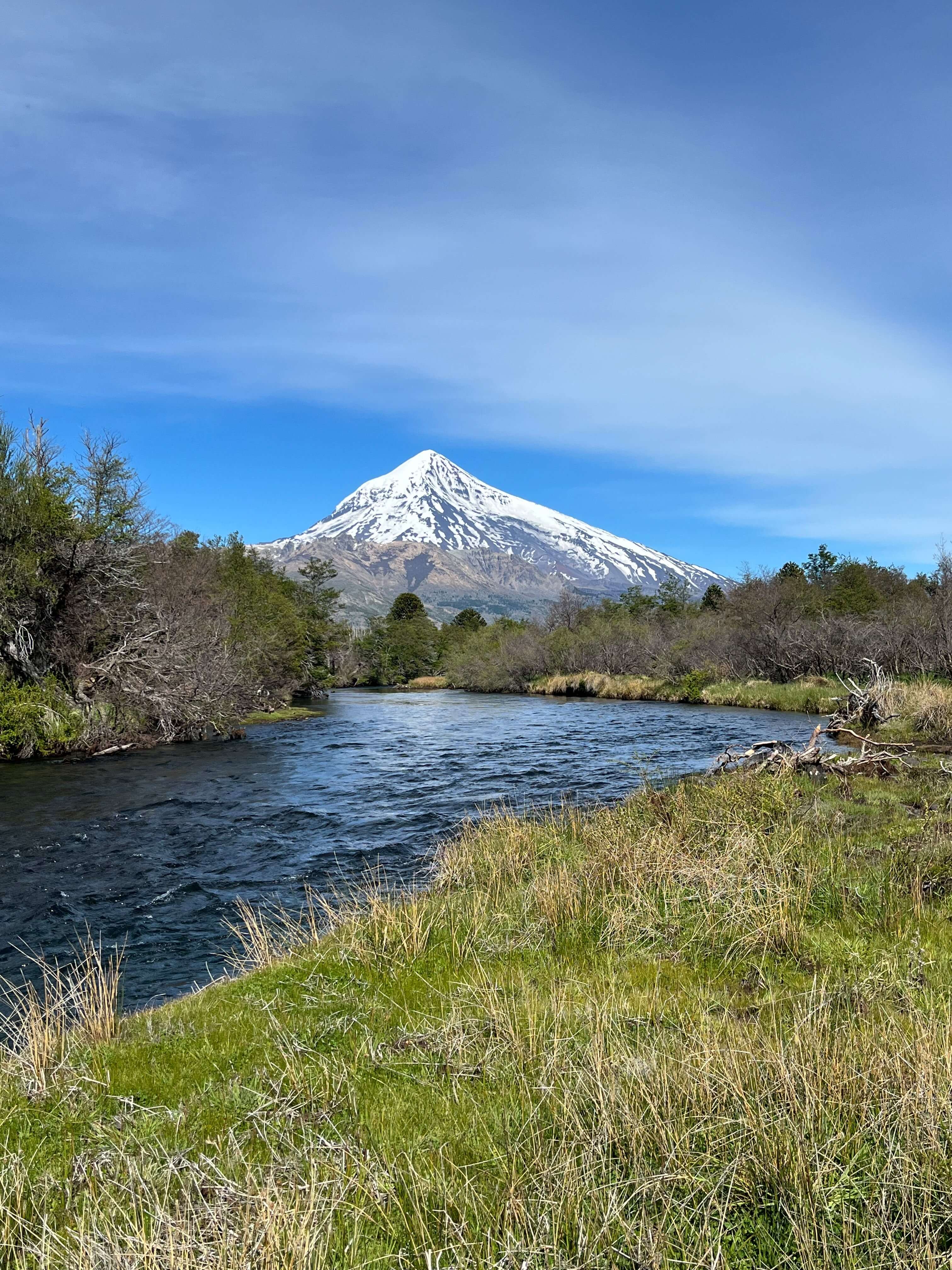Angler holding a large brown trout on a clear Patagonia creek, fly fishing near San Martín de los Andes, Argentina