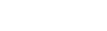 Logoipsum brand logo with a sunburst star icon.