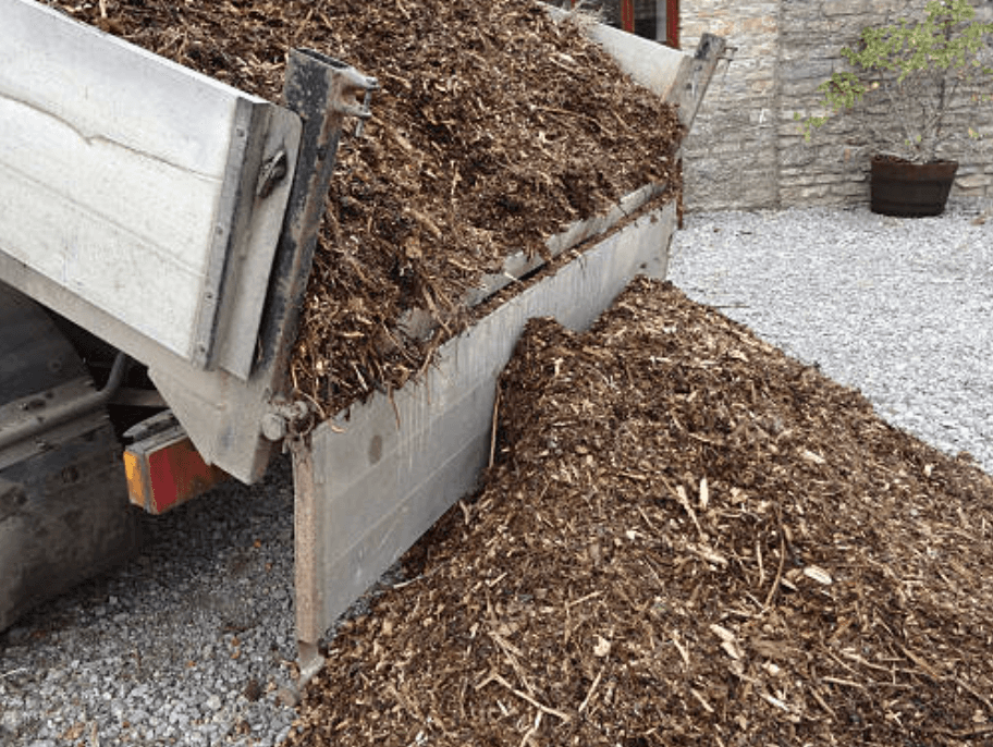 septic lines hooked up