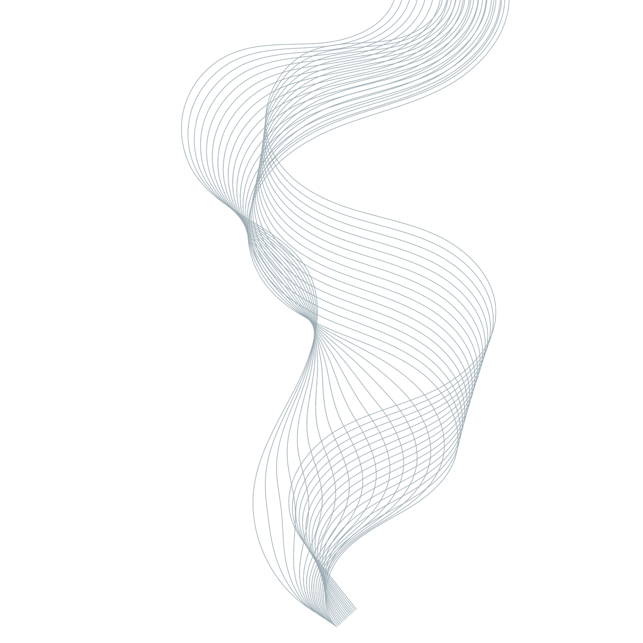 Component Shape