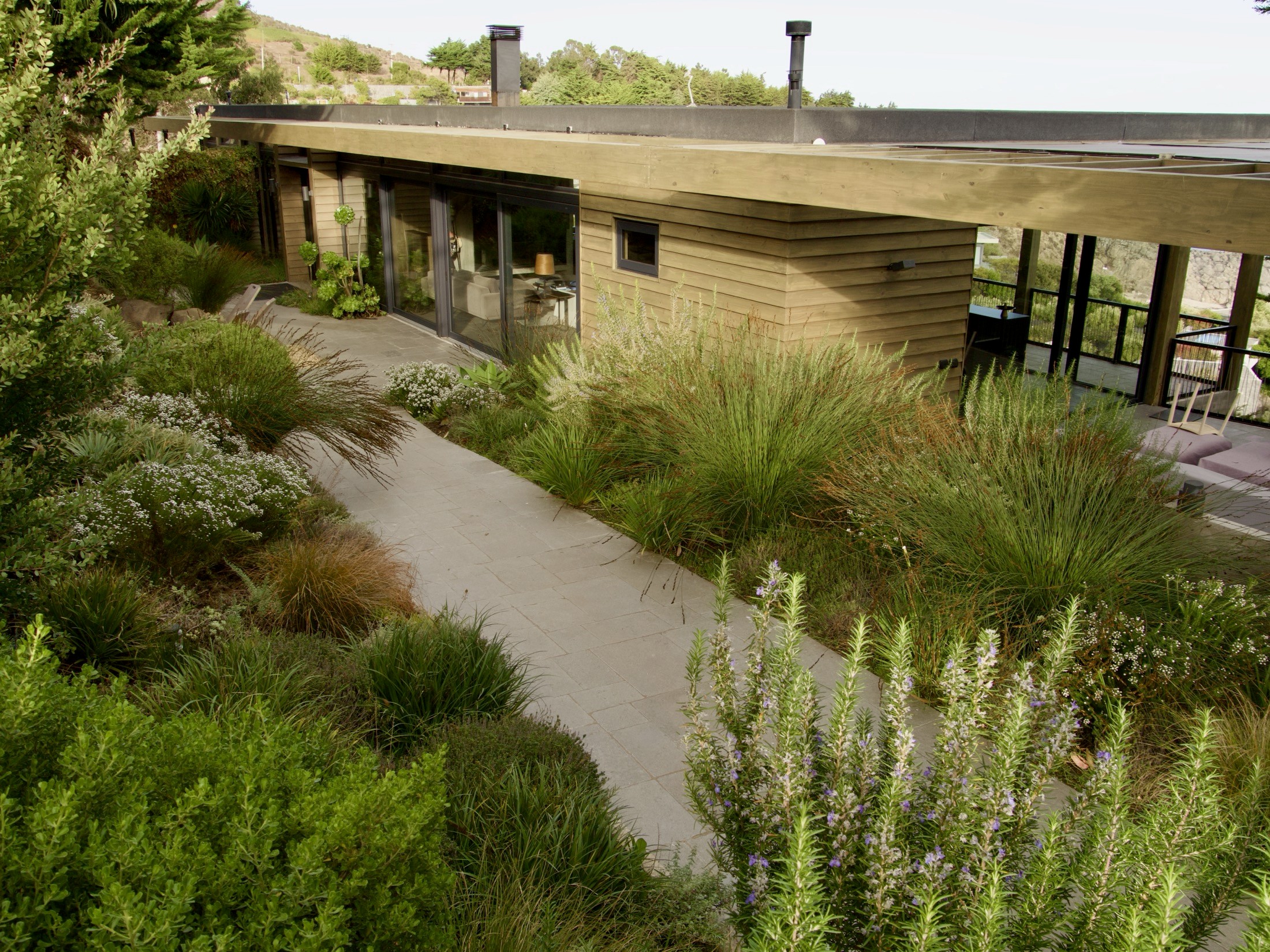 Carola Page Punta Pite Casa Nico