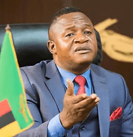 H.E. Mr. Elvis Chishala Nkandu, WSA IGO