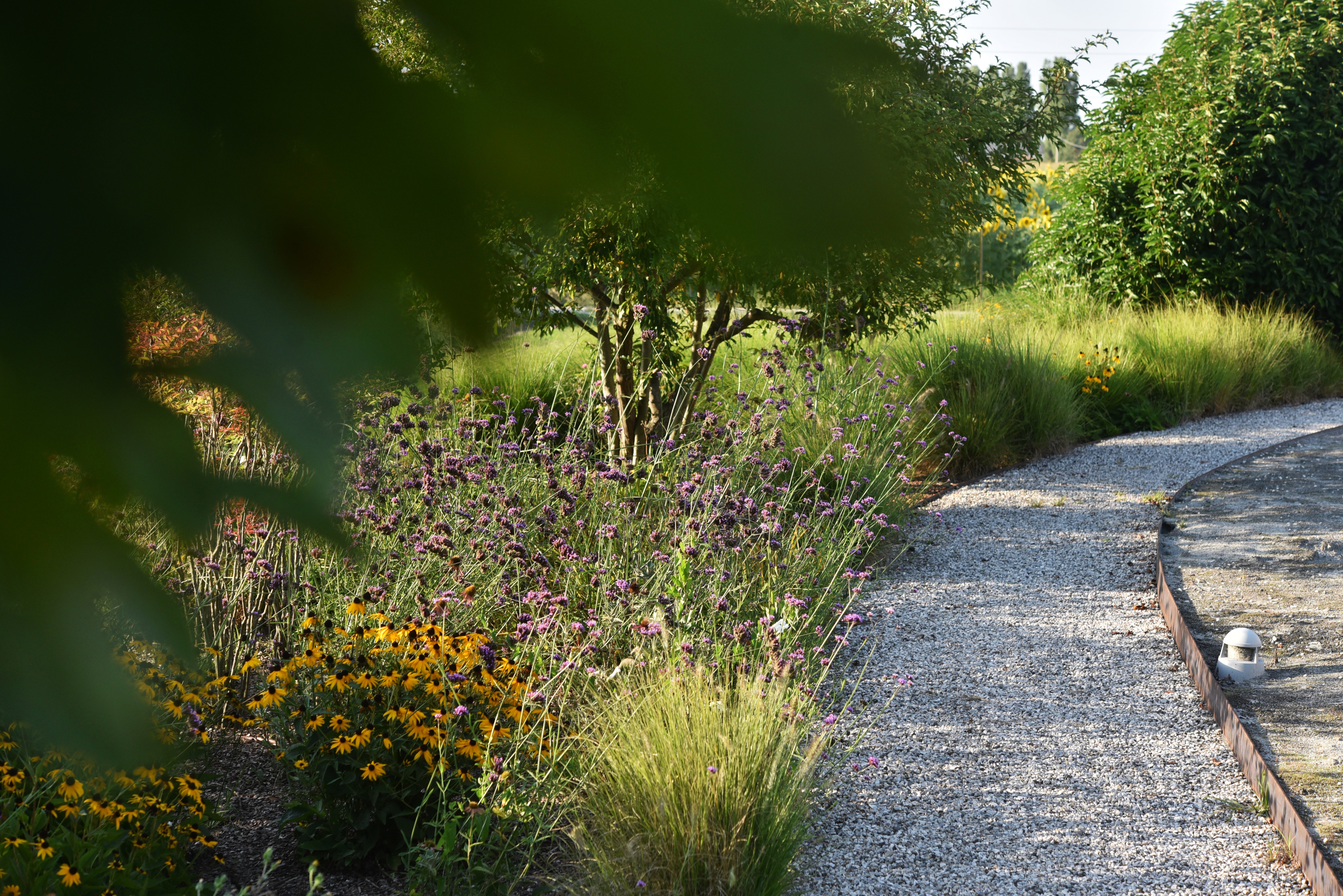 immagine dei sentieri fioriti nel giardino