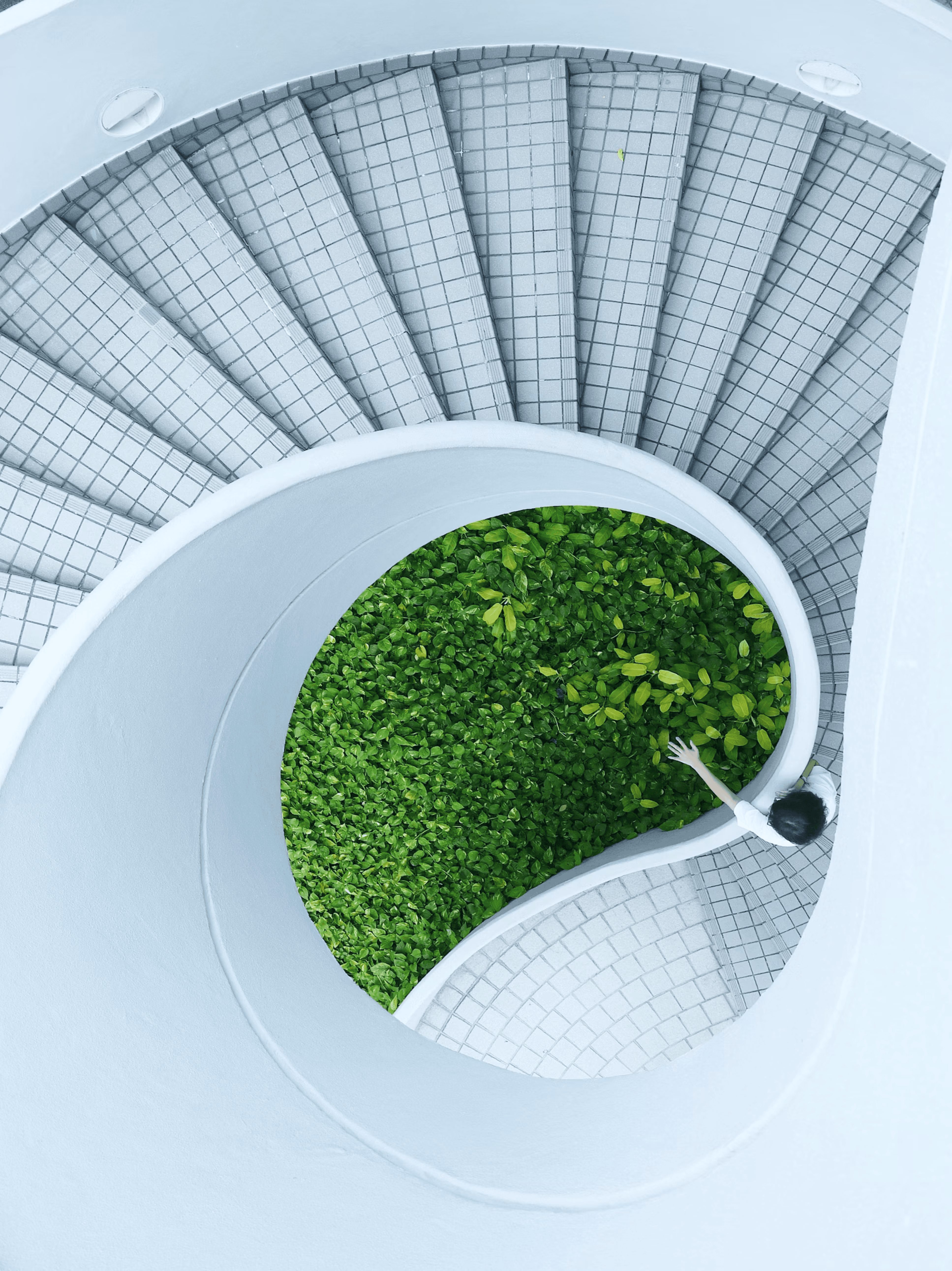 Top-down view of a white spiral staircase encircling green plants, with a person leaning on the railing below.