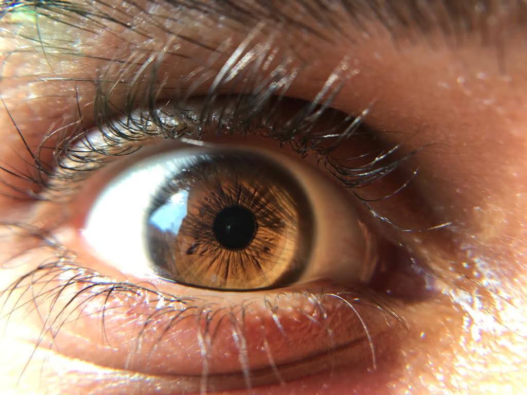 Hazel eyes