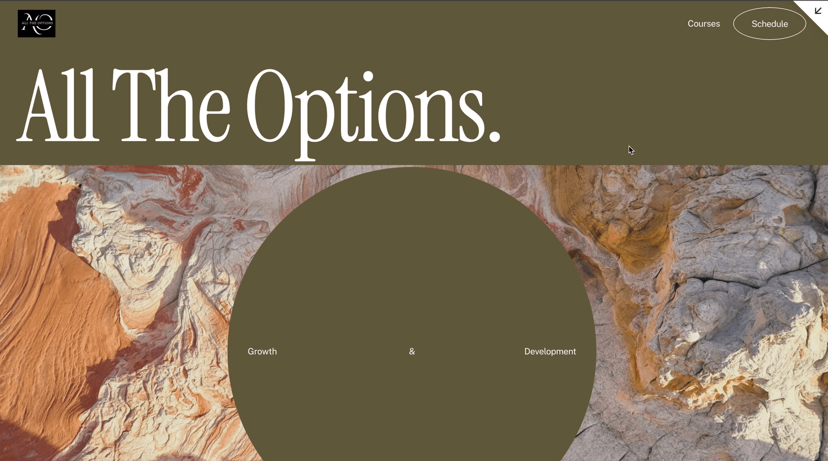 Screenshot of Dr. Cathy's SIte