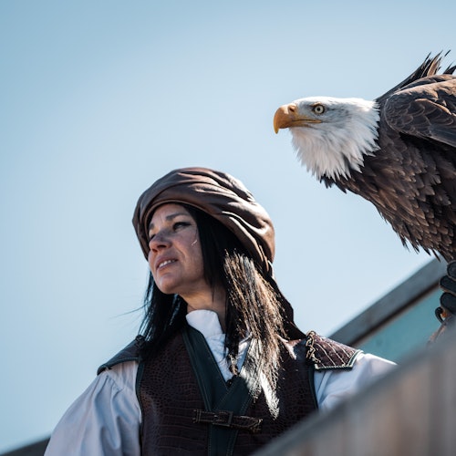 PUY DU FOU ИСПАНИЯ