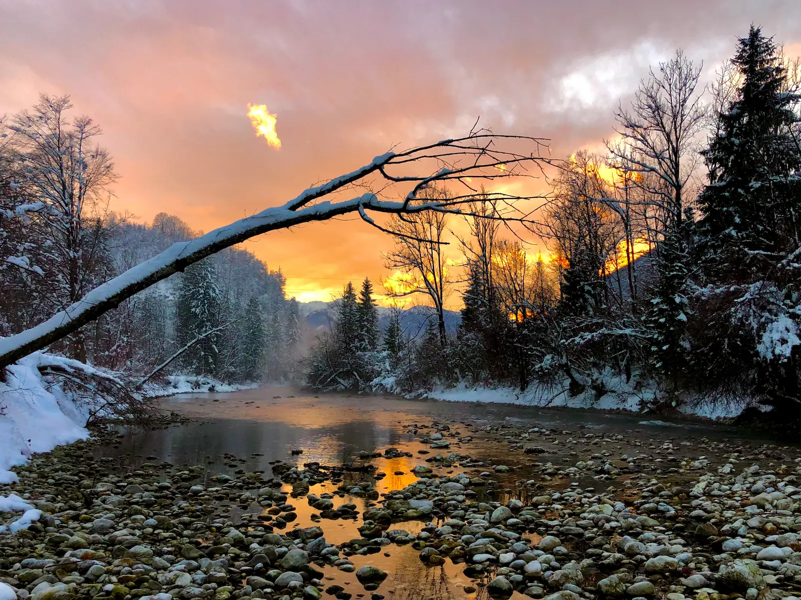 Snowy Slovenian river hucho fishing