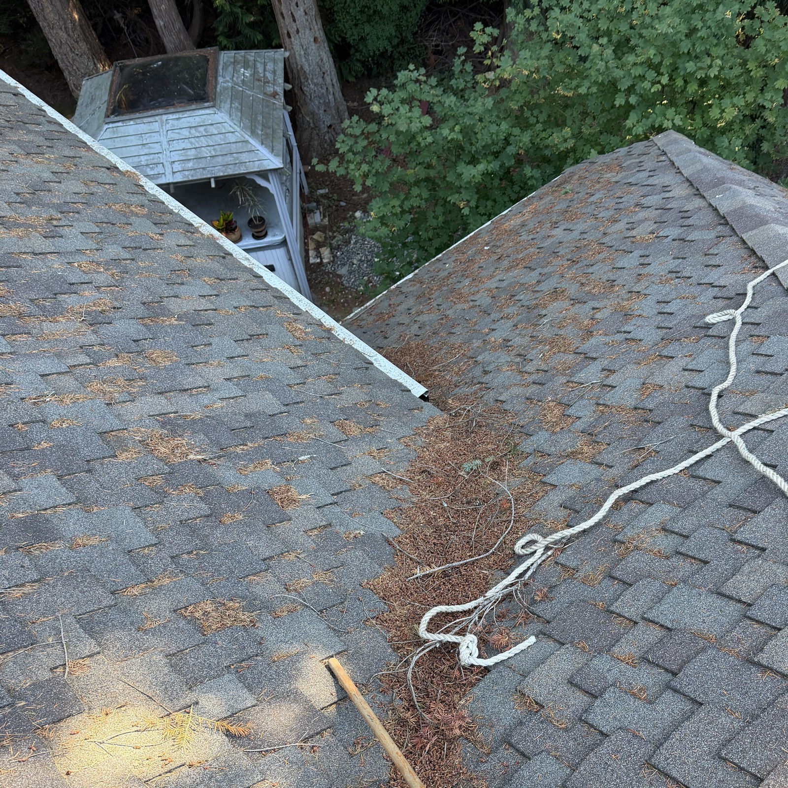 Before: roof valley cleaning: needles & debris in Mill Creek, WA