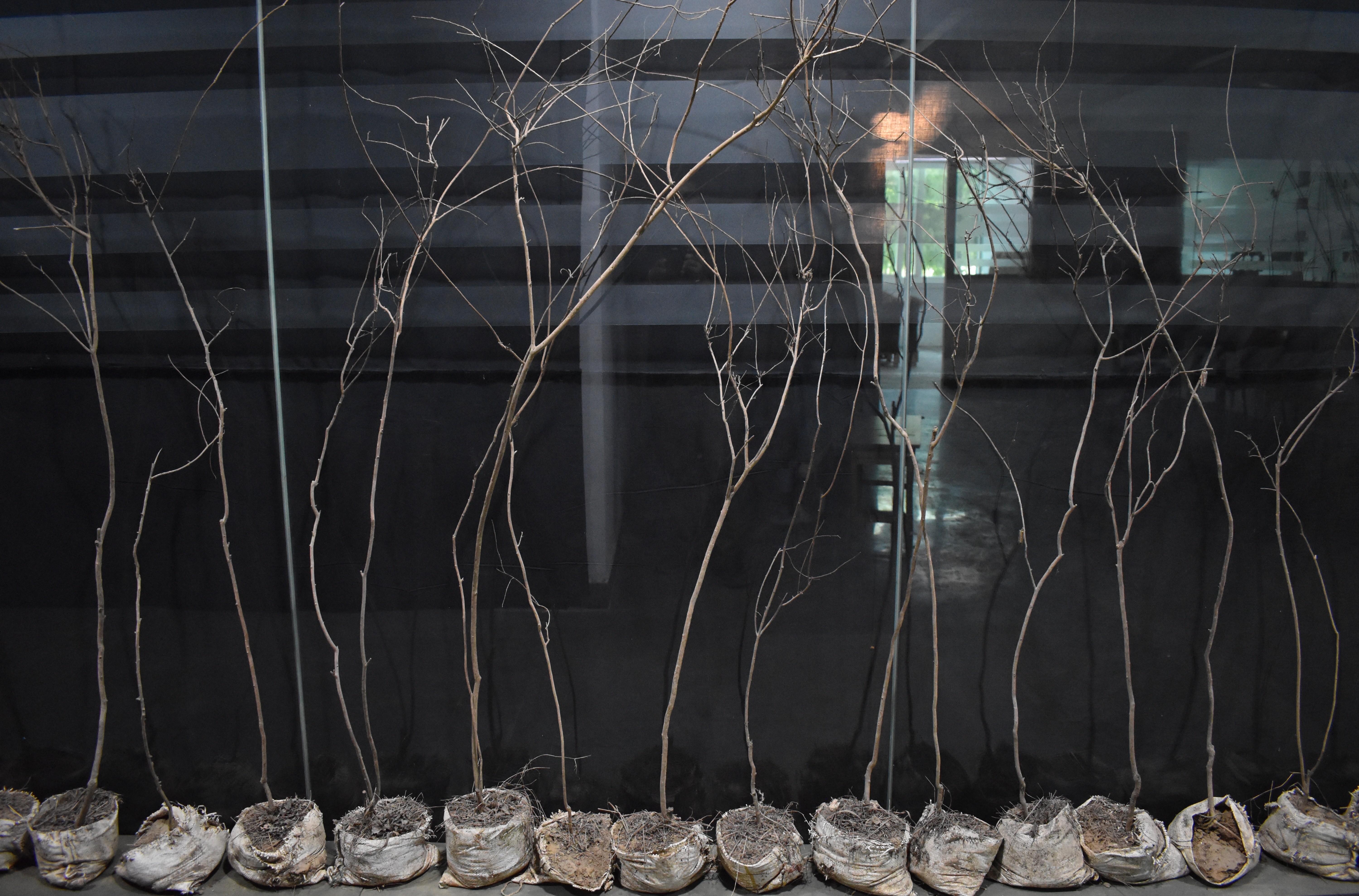 herd of sheep on road painting