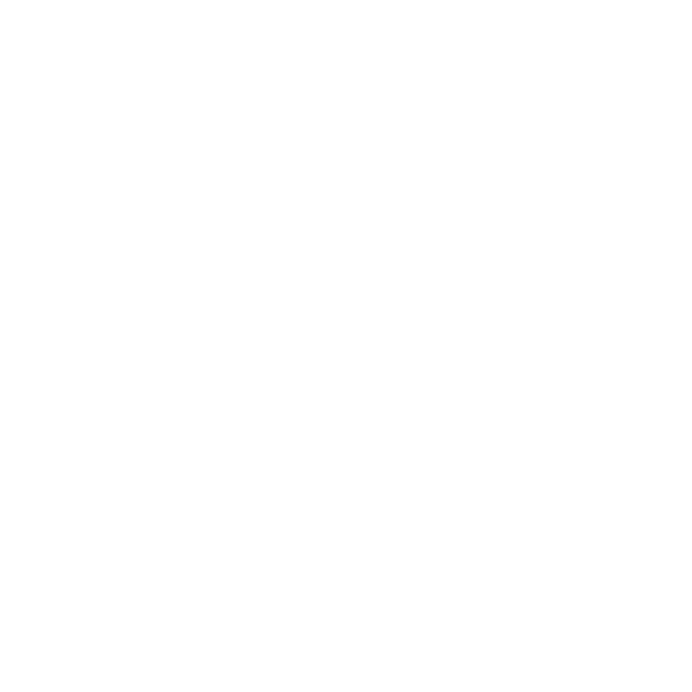 Logo Coppel png