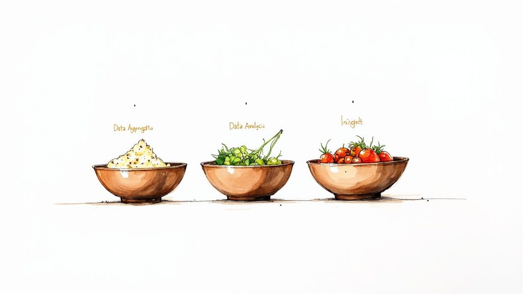 A chef carefully preparing a gourmet meal, representing the process of turning data into insights.