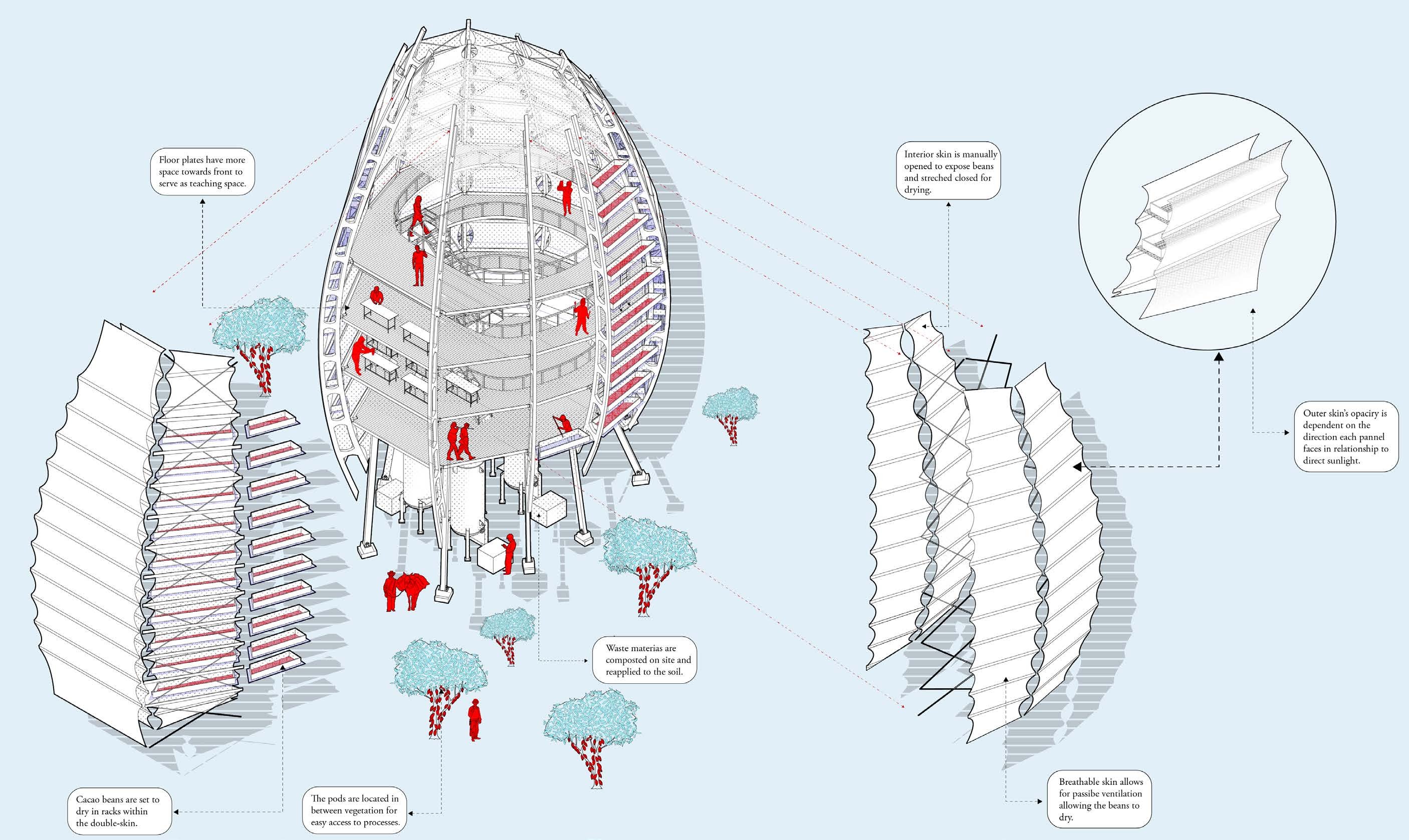 Cutaway axonometric of the cacao pod architecture, enclosure and occupied spaces.