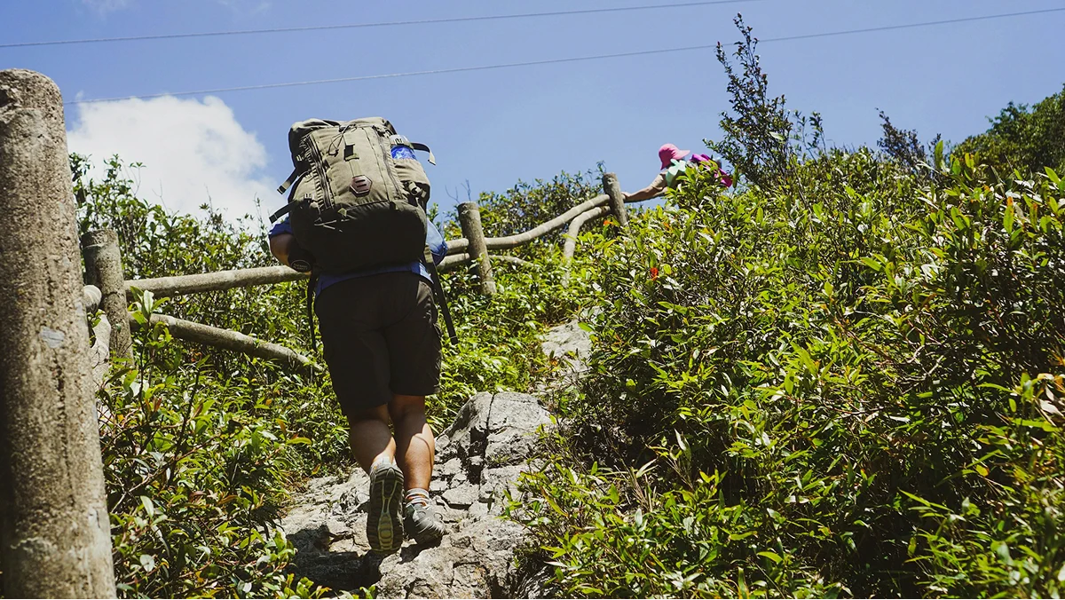 Backpacker climbing stone steps beside wooden trail railings