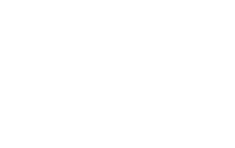 Robust Media logo