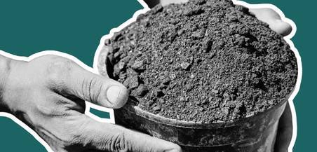 Two hands holding a bucket of Biochar