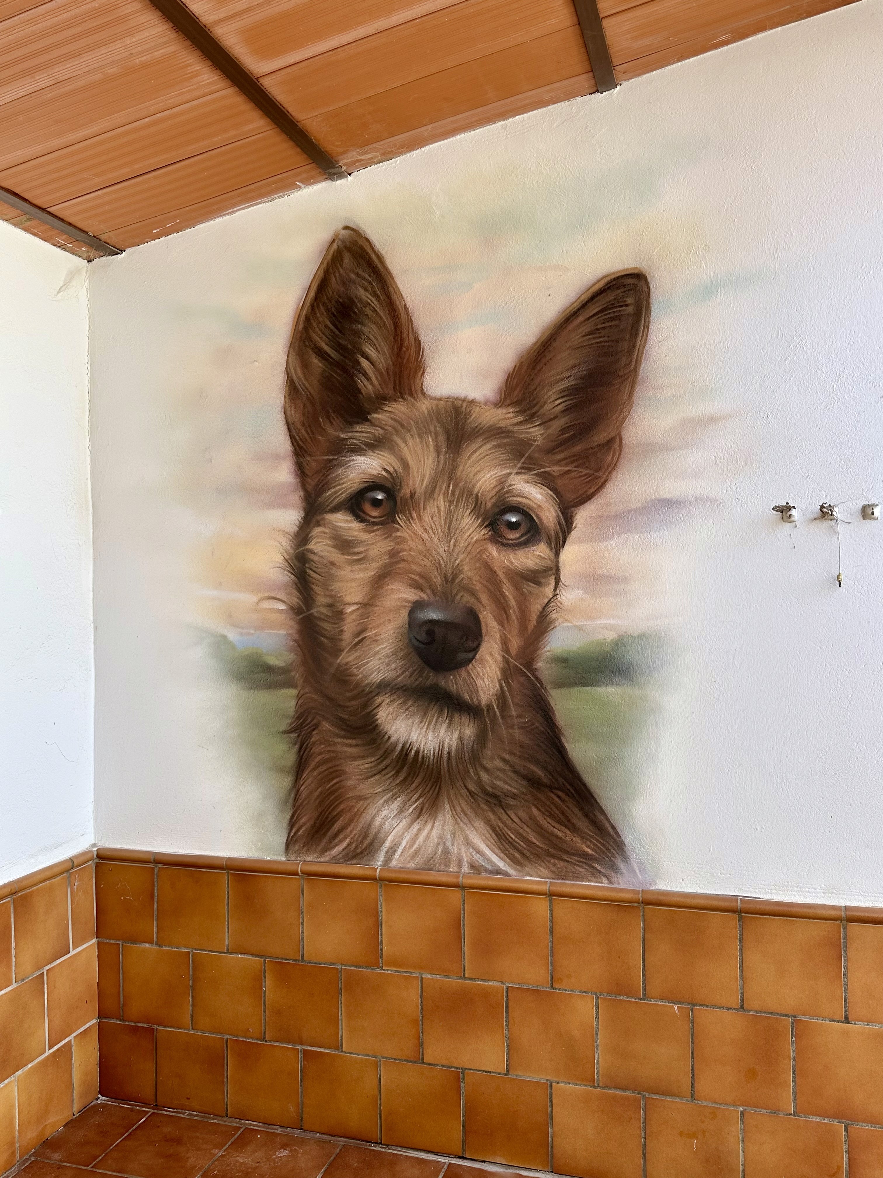 Retrato hiperrealista de un perro pintado en una pared interior en Ciudad Real.