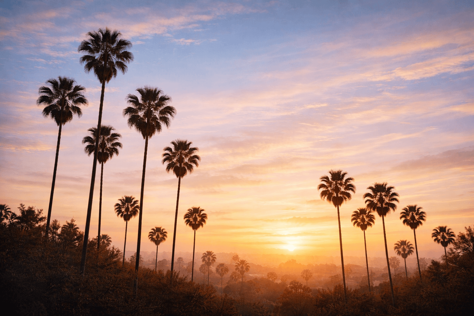 Licensed Latino therapist offering online therapy in California