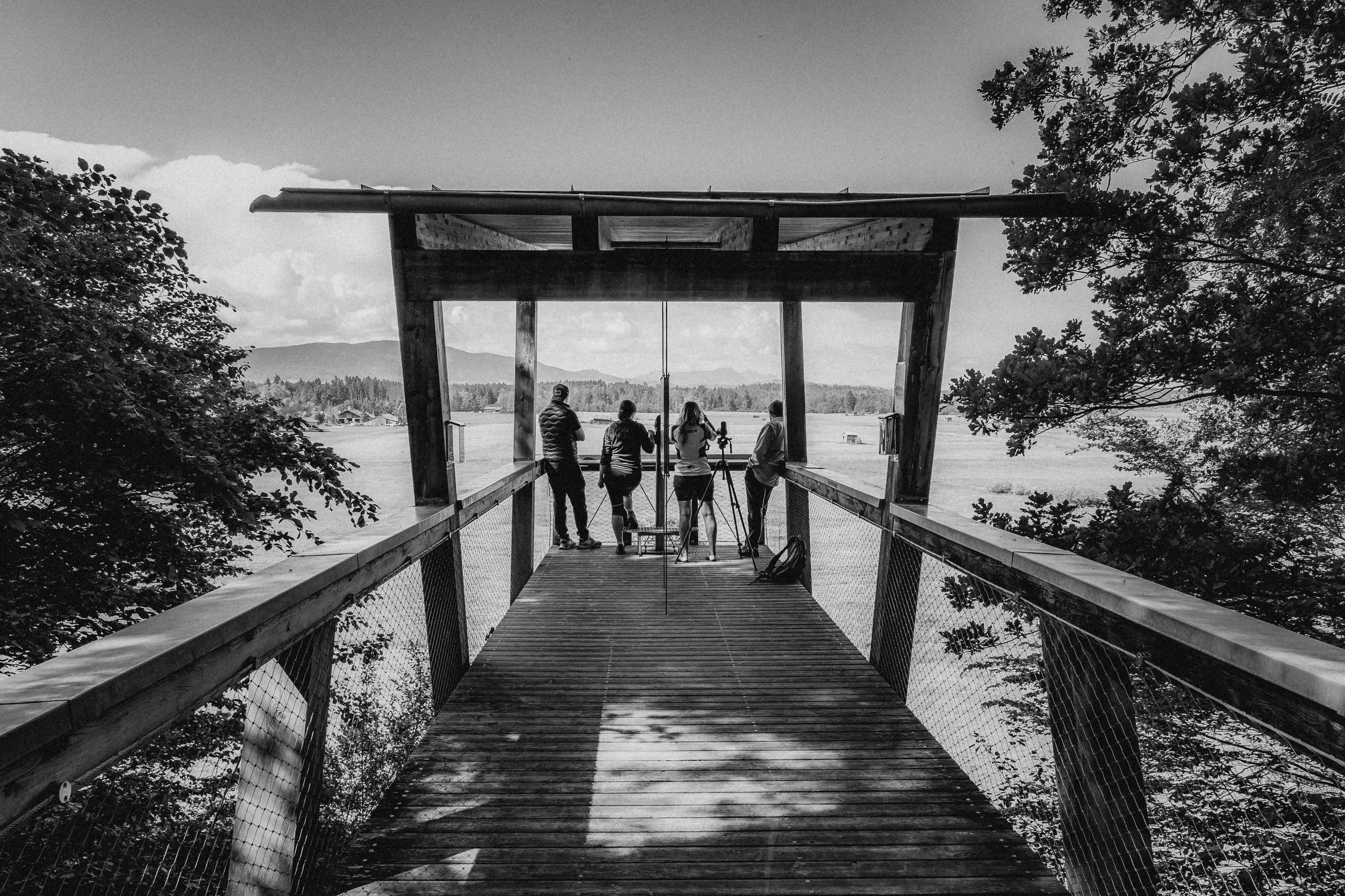 A black-and-white photo of people standing on a lookout platform surrounded by trees, overlooking a scenic view.