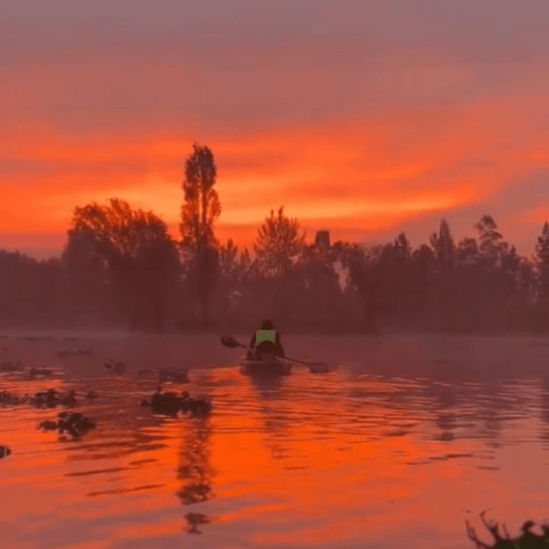 Kayak en Xochimilco 3
