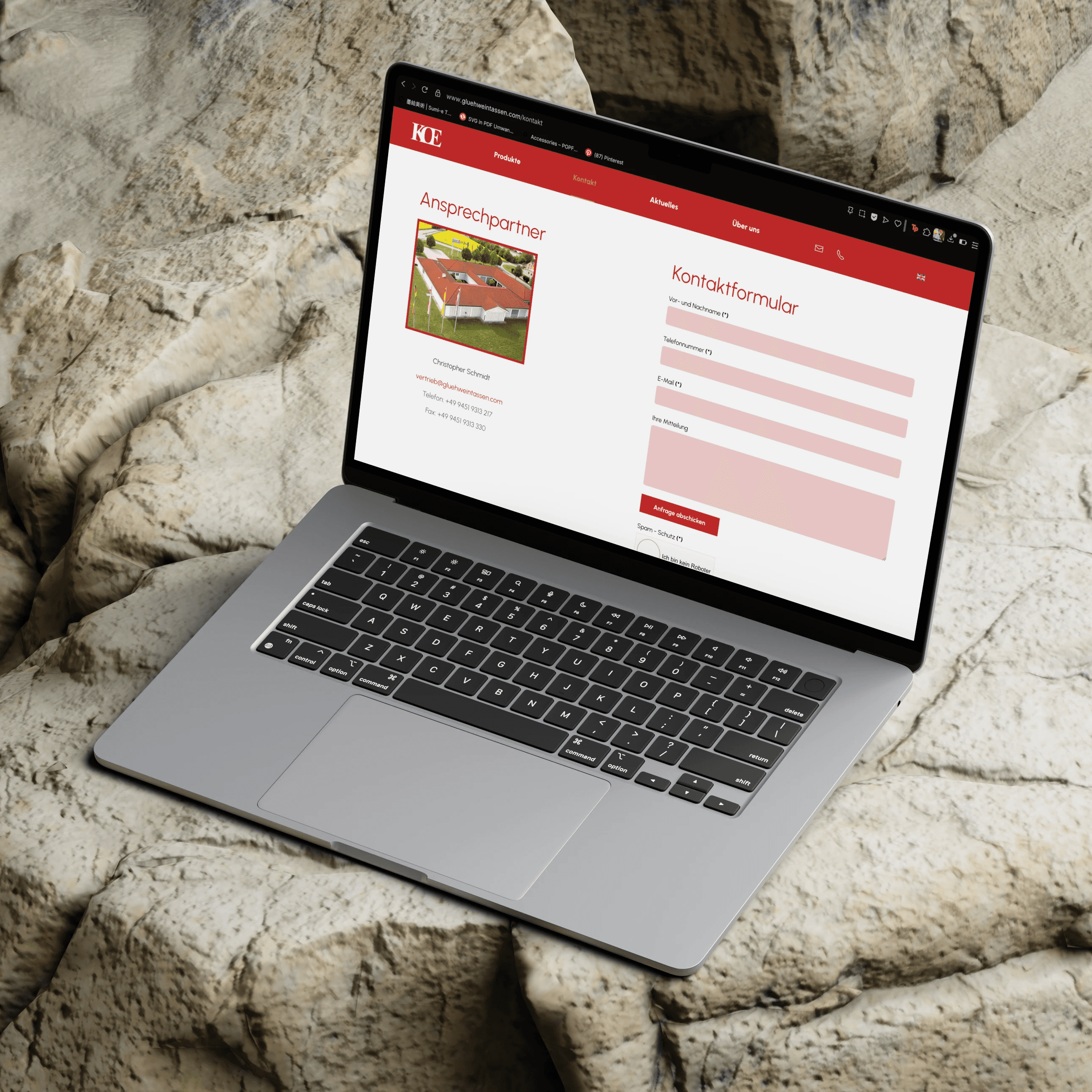 a red flower with a blue sky in the background