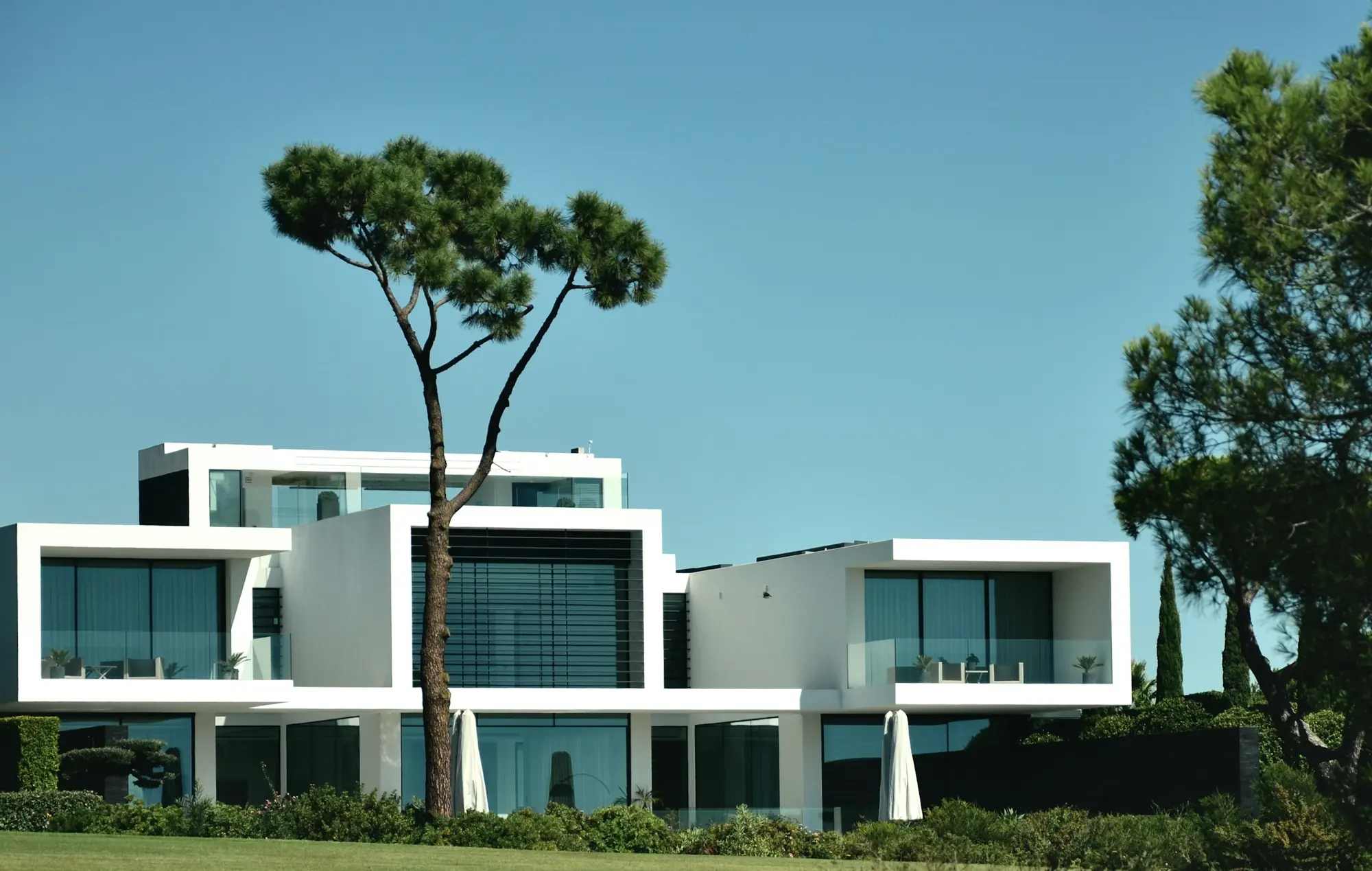 Modern white house with large windows and a tall pine tree under a clear blue sky