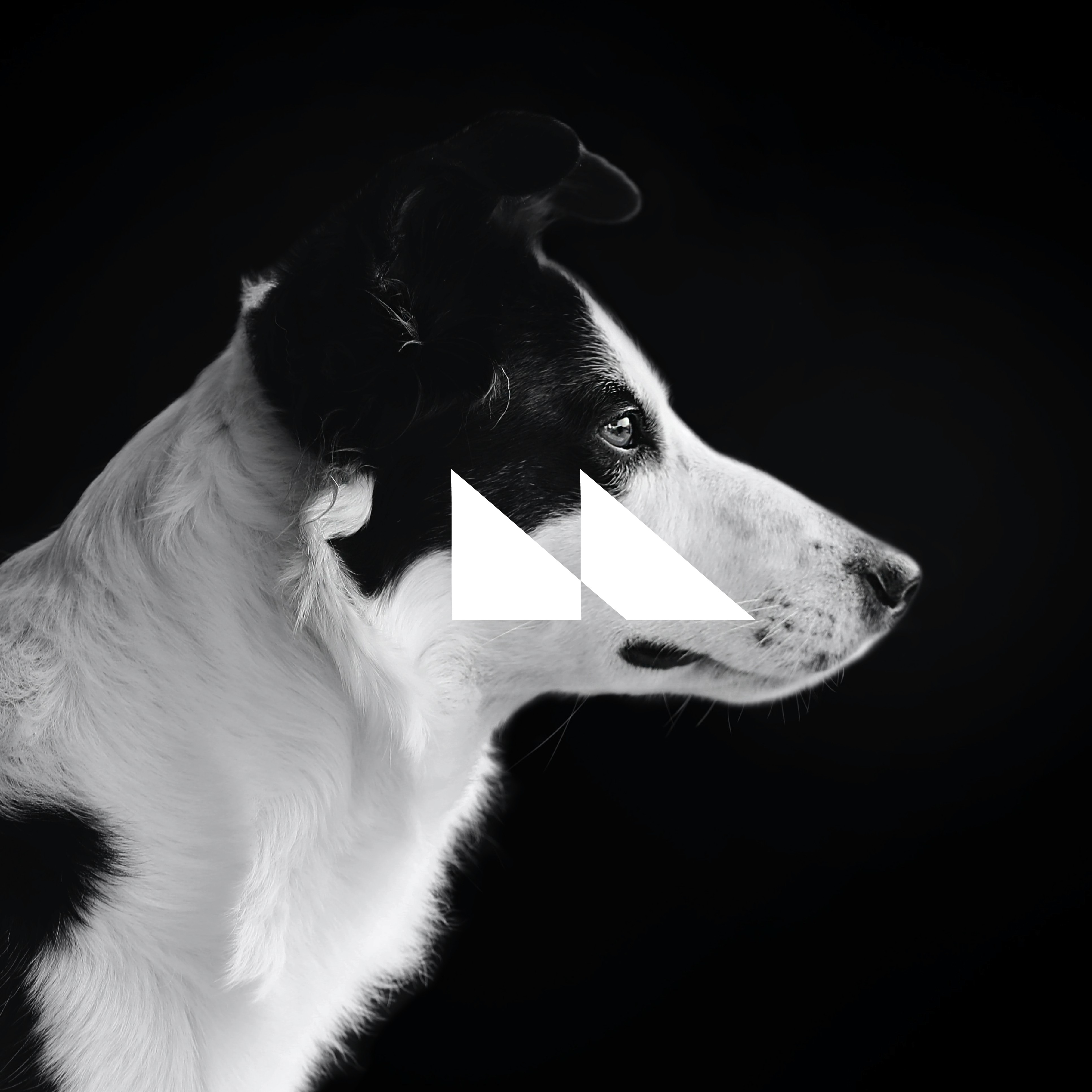 Batch.Works product catalogue book on a work top with a graphic printed image on the front