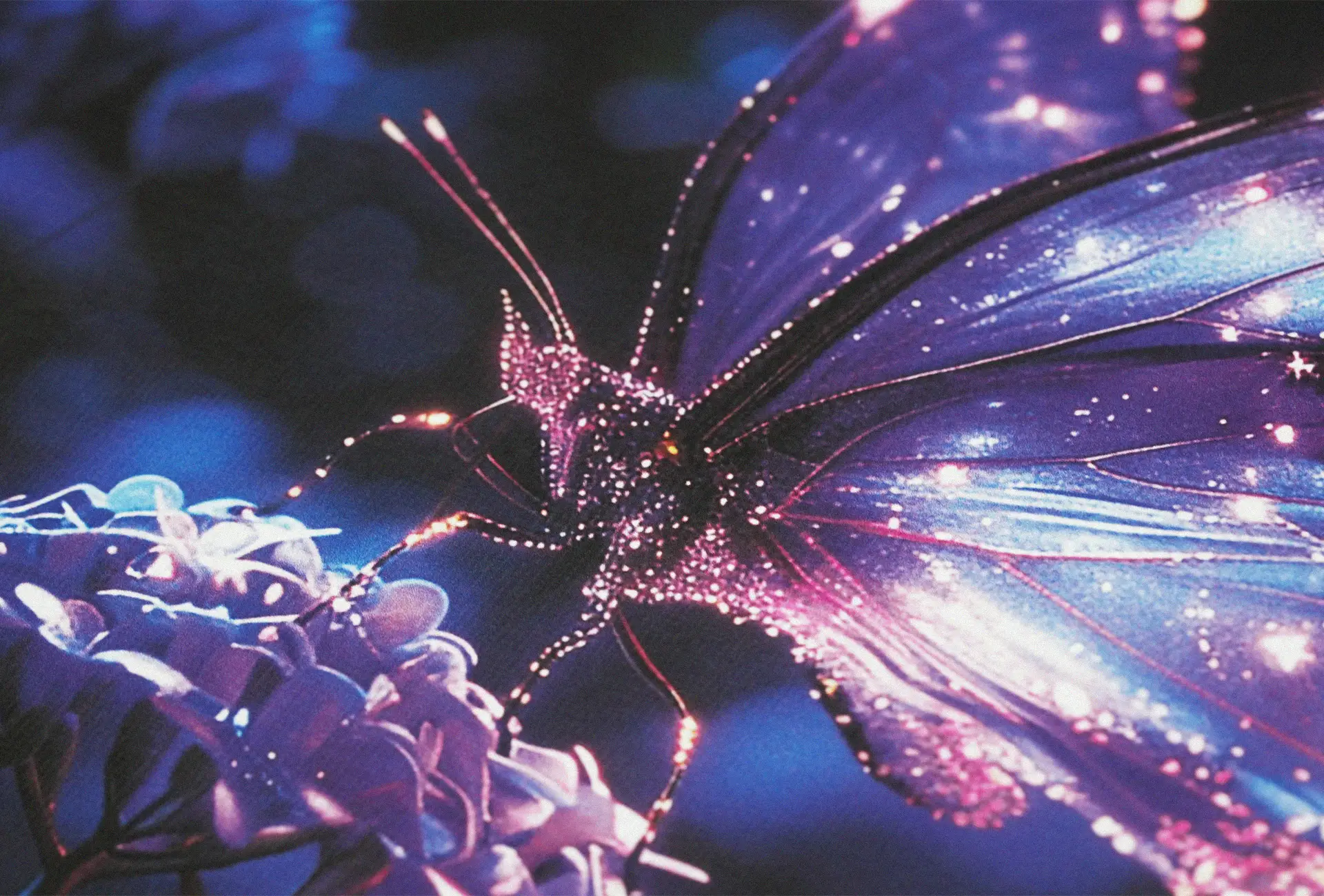 A comparison sample of a butterfly print from a standard DTF printer, showing duller colors and less defined details compared to high-end models.