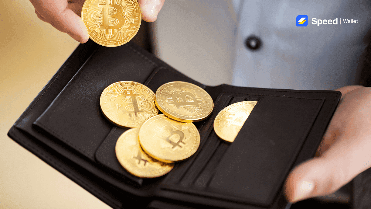 How to Choose the Best Bitcoin Wallet?
