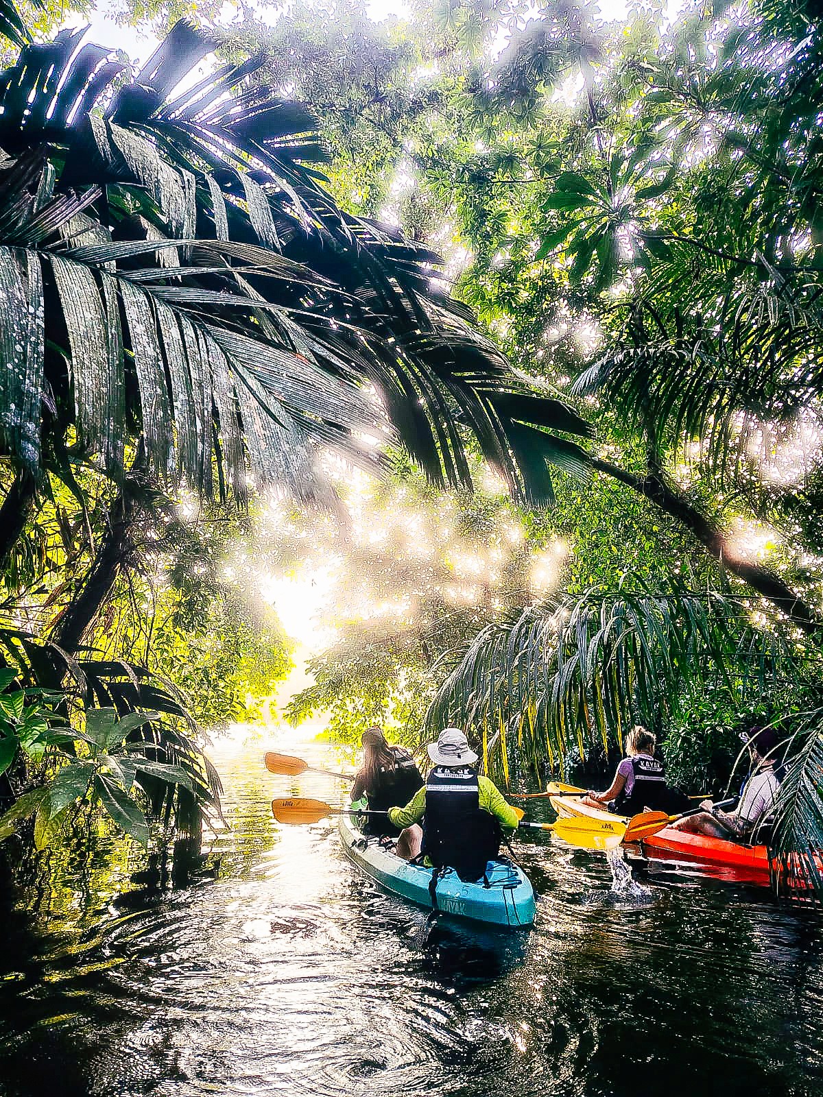 woman in black long sleeve shirt wearing white hat standing on green grass field during daytime