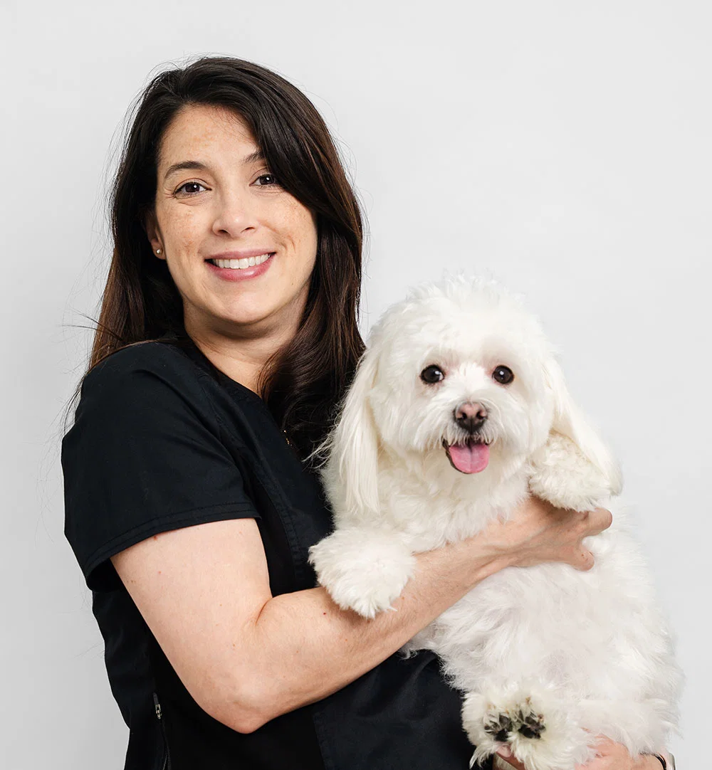 A veterinarian is holding a white dog in her arms.