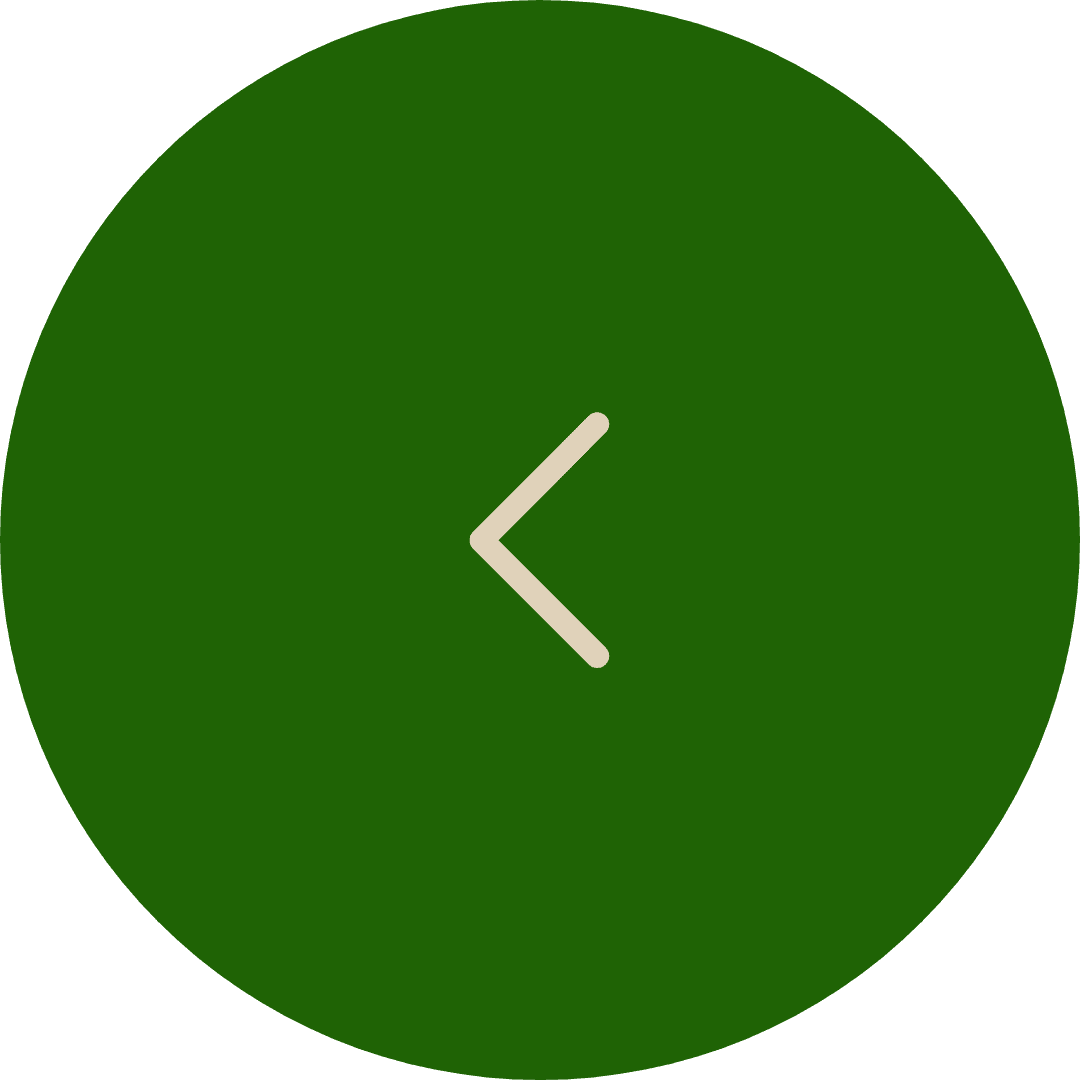 Back Arrow