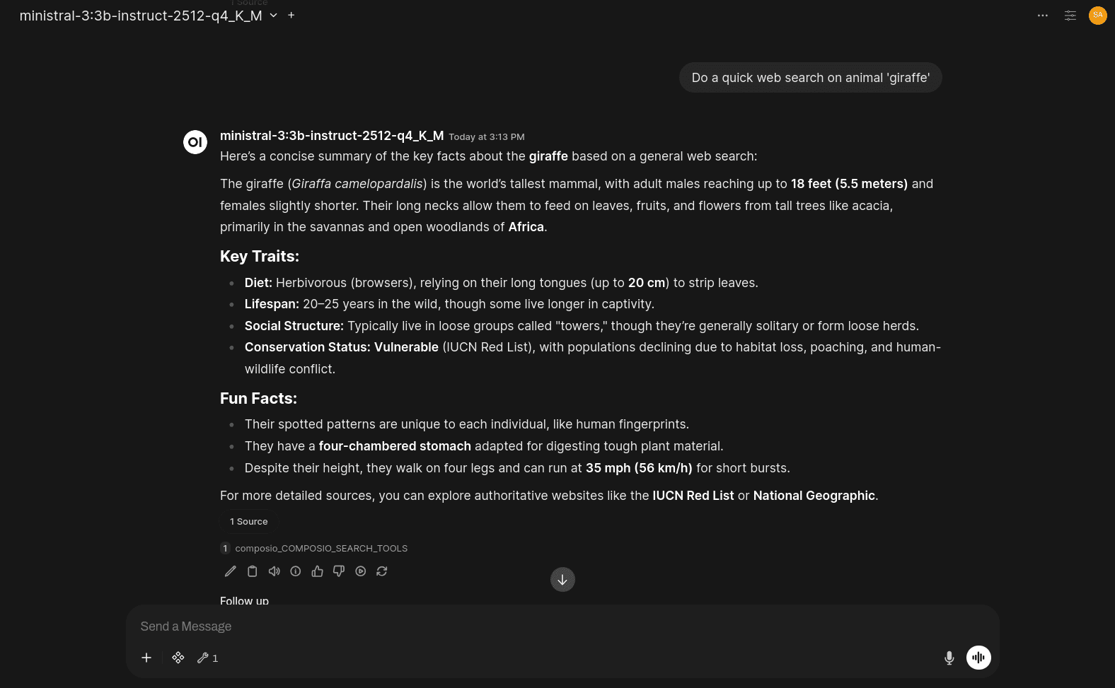 ministral_response_giraffe.png