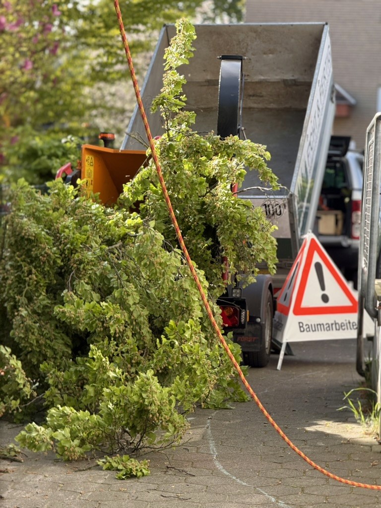 Customer project: tree work in progress