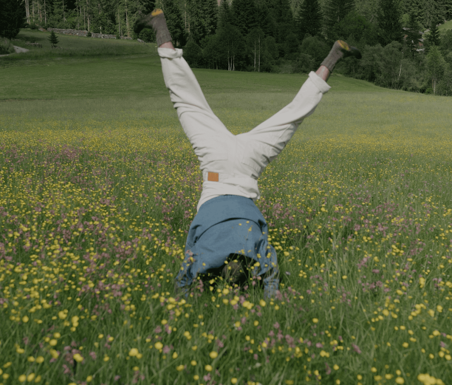 A person doing a handstand in a grassy field filled with yellow flowers, with their legs pointed upwards and their body partially obscured by the tall grass, set against a forested background, creating a playful and visually striking composition in a natural setting.