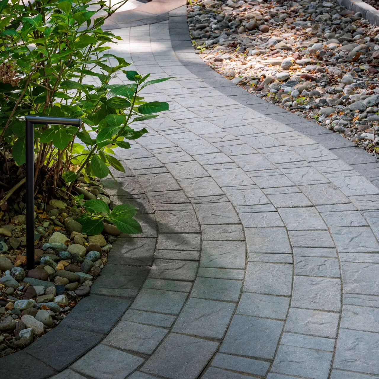 Narrow gray paver walkway with a dark border curving between planted beds and stones.