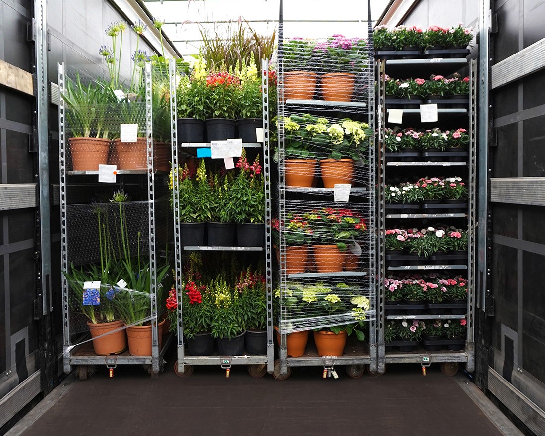 Racks filled with flowers stacked in a dark room