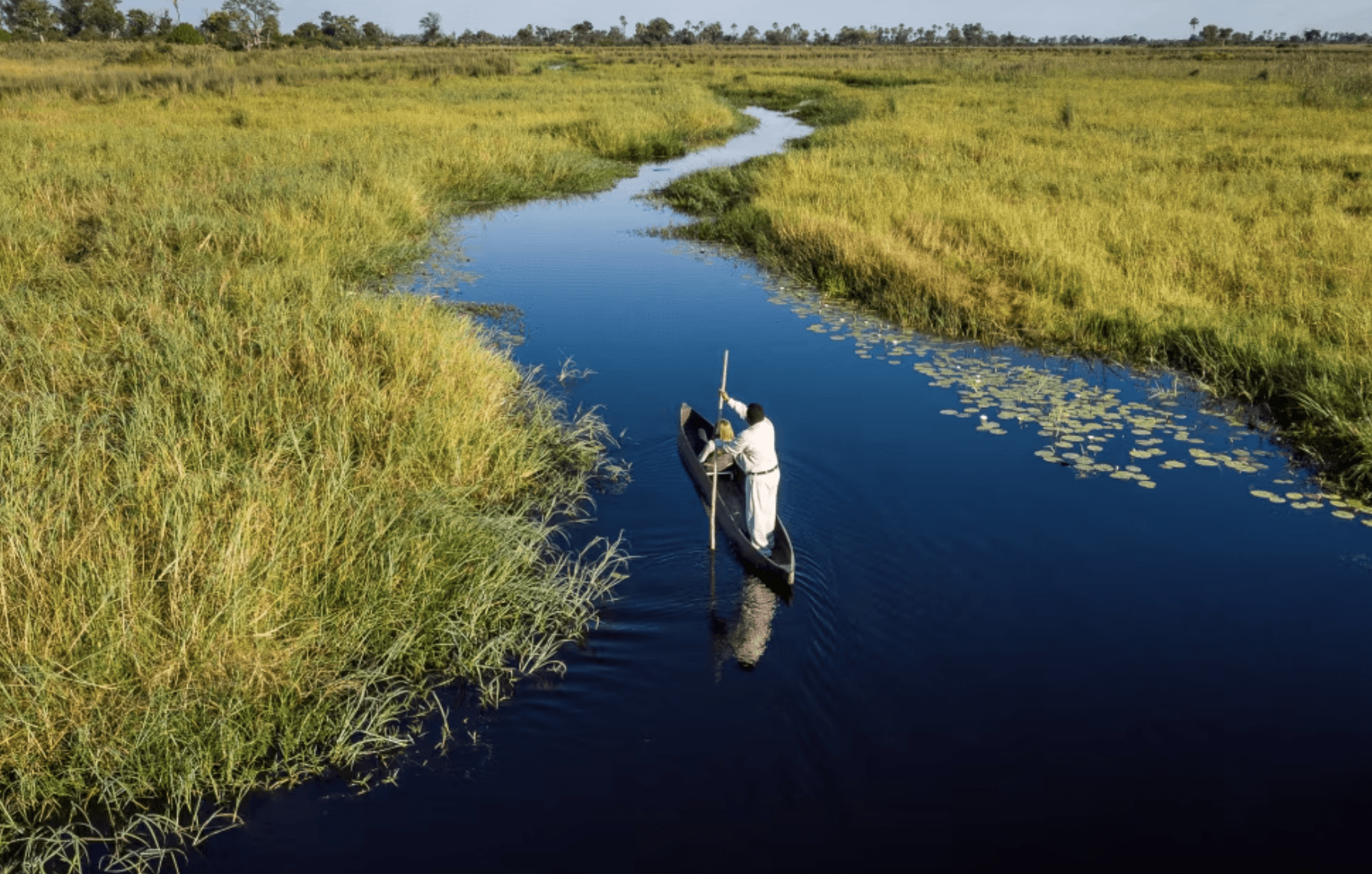 Bellevoire Montmartre