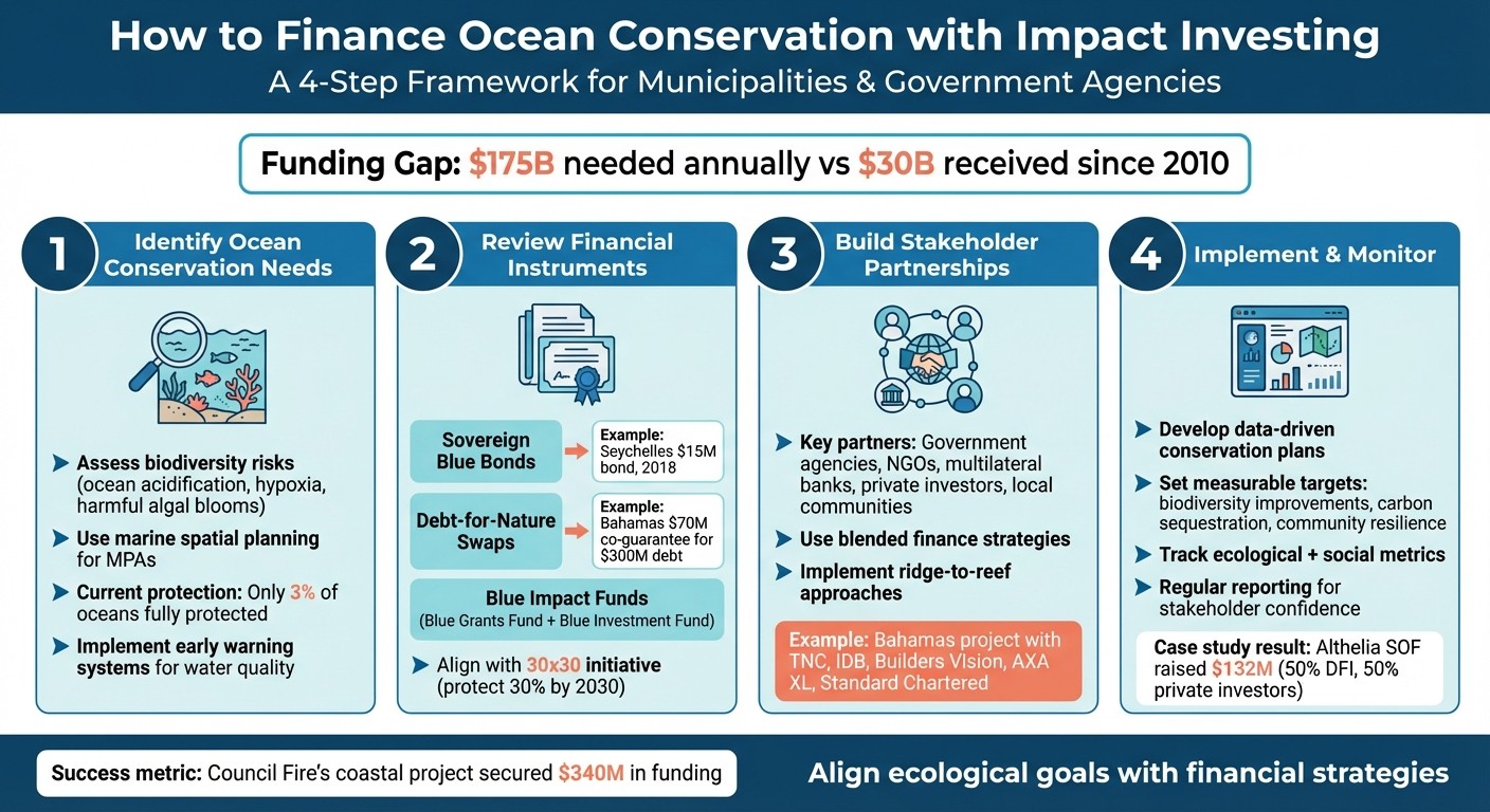 4-Step Framework for Financing Ocean Conservation Through Impact Investing