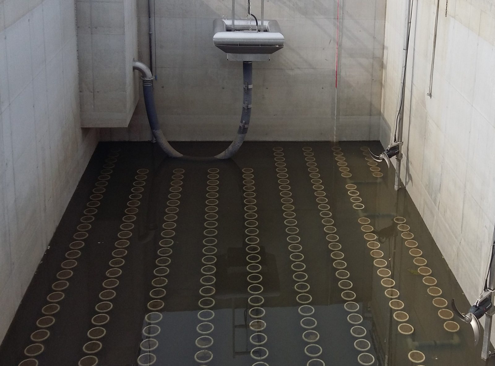 Drained SBR basin with aeration diffusers at the Kall Ingredients wastewater treatment plant, Tiszapüspöki, Hungary