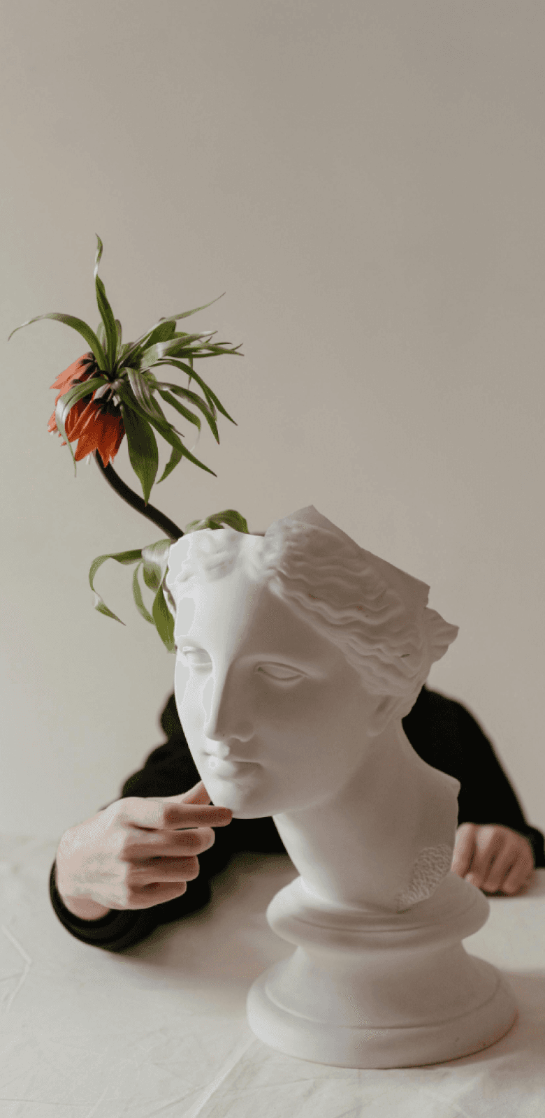 A white plaster bust sculpture with an orange flower placed on top, partially obscured by a hand, creating a minimalist and contemplative visual composition