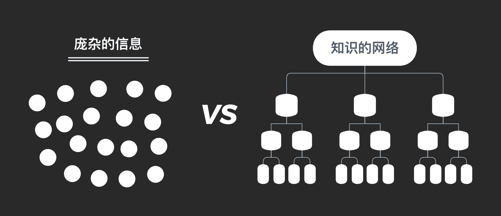 信息组织与结构对比
