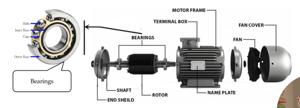 Bearing Failure in Induction Motors