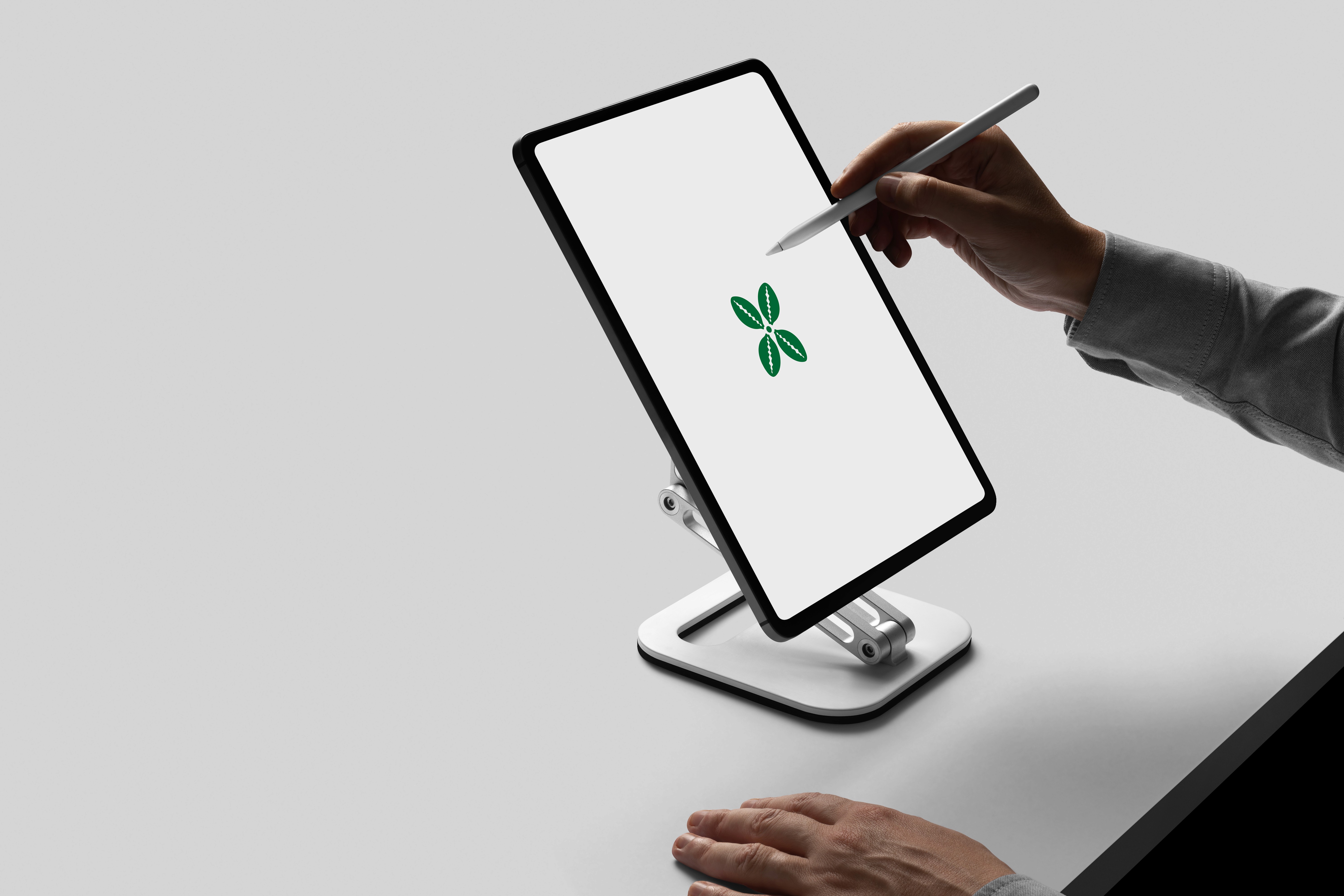 Trybepay logo preview phone